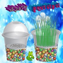 과학개구리알 물잔디키우기-1인용-ZHG과학교구.과학키트.실험실습