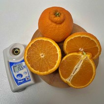 제주 신품종 스테비아급 고당도 한라봉 써니트, 써니트/가정용/3kg/중대과(12과내외)