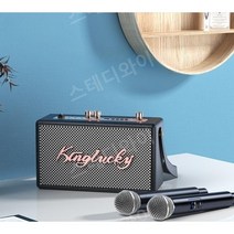 미니노래방 세트 무선 코인 앰프 휴대용, 브라운 + 마이크1