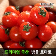 이츠올릿 방울 토마토 가정용 5kg 못난이 단 찰 토마토, 방울토마토 5kg 가정용(2번)
