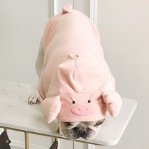 엘사 후와룽 인형탈 할로윈 의상 데이 옷 대여 유치원 돼지 모양 벨벳 애완 동물 강아지, 분홍색, l