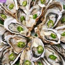 보령 천수만 천북굴 석화 각굴 생굴 대하 홍가리비 새조개 참 소라 굴 단지 축제, 석화 14.5kg 2망