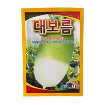 대보름 무 씨앗 30g [23년포장] 시장성 최고의 가을 무 종자, 1개
