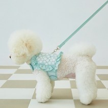 Neirny 강아지 하네스 세트 데이지 프릴 가슴줄 애견 산책 몸줄 리드줄 찍찍이 소형견, L 몸무게~9kg, 민트