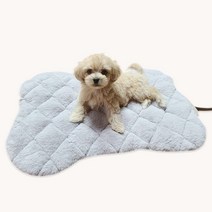 강아지 고양이 전기 온열 매트 국내생산 안전설계 반려동물 겨울 추위 발열 방석, 사각형, 커버선택안함, 민트