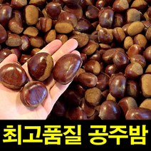 햇공주밤 1KG 칼집X 밤 밤효능 약단밤 밤삶는법 군밤