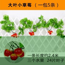 복도 장식 그린 등나무 페이크 덩쿨 라탄 심플 비닐 플라워 컬러 펀텐트 전시장 녹색 식물 트로피칼 2622582227, C59 빅사이즈 사과아이폰 1가방 2