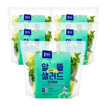 [1am] 알뜰 데일리 세척 야채 샐러드 베이비그린, 100g x 5팩