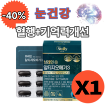 뉴일리 징코 알티지오메가3 30캡슐 은행잎추출물 노르웨이산 정제어유 홍삼농축분말 대두레시틴 플라보놀배당체 rTG 오메가3 루테인 혈행 눈 건강 에좋은 영양제, 1개