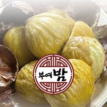 국내산 부여밤 (1KG~5KG), 칼집 포르단 부여밤(특대), 1KG