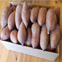 해남 황토밭 호박 꿀 고구마 3kg5kg10kg, 1박스, 꿀고구마5kg(중품)개당60g-120g