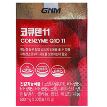 GNM자연의품격 코큐텐11 500mg 30캡슐 2개