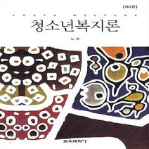 교육과학사 새책-스테이책터 [청소년복지론] -개정3판--교육과학사-노혁 지음-사회복지학-20100831 출간-판형 188x257(B5, 노혁 지음