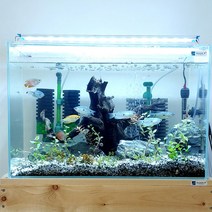 올디아망 베타 금붕어 물멍 물고기키우기 1자 2자 거북이어항, T500(50X27X20)