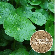 화장품 비누diy재료-천연분말 허브A, 병풀분말-100g