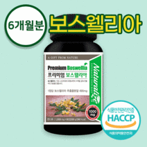 프리미엄 보스웰리아 1000mg 180정 6개월분 인도산 보스웰리아 추출물분말 490mg 초록입홍합 보수웰리아 버스웰리아 Boswellia, 네추럴라이즈 프리미엄 보스웰리아 3통