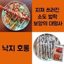 낙지 호롱 구이 호롱이 꼬치 캠핑 밀키트 냉동 양념포함, 낙지호롱450g(13~15개)/양념포함