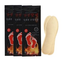 겨울 캠핑 낚시 골프 온열 신발 깔창 핫팩 패드 2개입 X 10개, 남자(250mm)