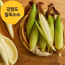 [강원도] 쫀득한 2023년 강원도 찰옥수수 20개 30개 50개 산지직송 당일수확, 평창찐옥수수(30개)