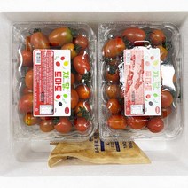 자달토마토 스위프리 고당도 스테비아 대추 방울 토마토 칵테일 흑토마토 1kg 2kg 설탕토마토, 자달 흑 방울토마토 500gx4팩(총2kg)