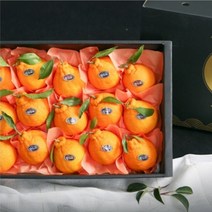 제주농장 자연 그대로를 담은 카라향 3kg 5kg, 쿠팡 3kg소과 13-16, 쿠팡 본상품선택