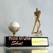 좋은상패 부모님감사패 상패 트로피 홀인원기념패 공로패 골프이글패 골프싱글패 3D-215G