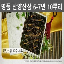 강원도 산양삼 산양 산삼 장뇌 산삼 장뇌삼 선물세트 10뿌리 부모님선물 어르신선물 사장님선물 장모님선물 장인어른선물 할아버지선물 추석선물 설날선물 명절선물