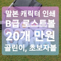 메이저브랜드 로스트볼 B급 로스트볼 20알 1세트 말본 캐릭터 프린팅 골린이 초보자 골프공, 타이틀리스트