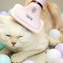 아베크 털뽕 에어브러쉬 2종 애견 강아지 미용, 아베크 털뽕 에어브러쉬 화이트