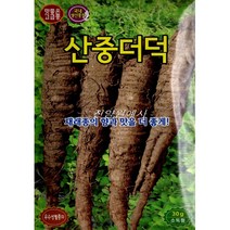 (씨앗) 더덕 - 씨앗 종자 - 넉넉한 양의 포장 - 30g, 1개
