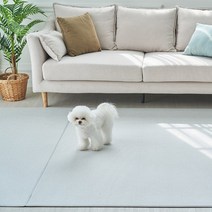 카라즈펫 항균 PVC 애견매트 논슬립 미끄럼방지 1+1, 복도형 2200x1100x6mm, 패브릭베이지