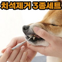 강아지 치석제거 입냄새 이빨 스케일링 제거기 고양이, 본상품선택