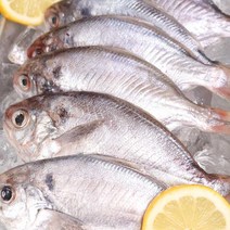 먹보네농산물 제주 샛돔 돌병어 2kg, 1) 2kg