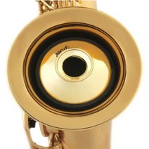 색소폰 음소거 알토 소음기 목관악기 연습용 악음기, 색상:골드 BL08128, 골드