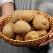 대화팜_못난이 감자 5kg 150g, 단품