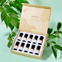 초음파과일세척기 휴대용채소세척기 공기 청정기 5ML 에센셜 오일 10 병 세트 샘플 아로마 디퓨저 가습기, 02 Hotel SET