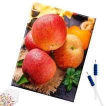 SHEXIU 3D 원형 보석십자수 캔버스액자 DIY 키트 50 x 40 cm, SX055  달콤한 사과x1세트