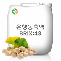 은행농축액 20kg, 단품