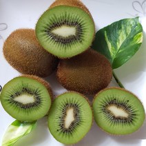 국내산 참 다래 그린 키위 고당도 3kg 5kg 10kg, 80g이상