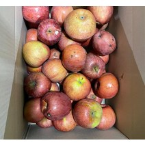 경북 청송사과 홍로 부사 못난이 사과 흠집 쥬스용 9KG