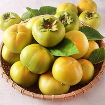 창녕 태추단감 배단감 가정용 5kg 선물용 4.5kg 우포누리 추석과일선물세트 창원, 소포장 선물용 3kg 14과 (중대과)