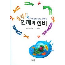 클릭 인체의 신비, 승산