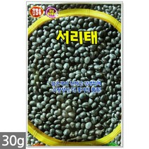 얼룩이 강낭콩 씨앗 70립 - 씨 강낭콩씨 강낭콩씨앗 콩씨 콩씨앗 강남콩씨앗 주말농장 텃밭, 17_서리태콩(30g)