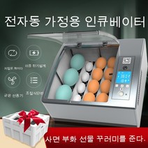 상운 병아리 부화기 가정용 지능 16P