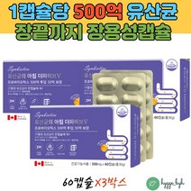 장용성캡슐 프로바이오틱스 유산균알약 산모 수유부 필수 임산부영양제 식약처인증 배변활동 유익균증식 3박스 임신초기 중기 말기 신바이오틱스 장유산균 30대 40대 여성 여자 준비