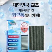 동필터코리아 닥터코퍼 항균동필터 활성탄 항균필터, 렉스턴 스포츠 칸 19년 이후, 1개