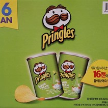 농심 포테이토 프링글스 샤워크림 어니언 미니캔 16입, 1
