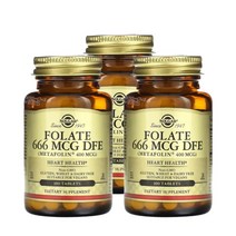 Solgar 솔가 엽산 666 mcg DFE 100정 3병, 기본, 기본