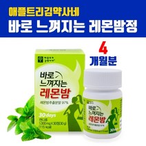 고농축 레몬밤 알약타입 레몬밤잎 추출분말 1000mg 레몬밤정 캡슐 로즈마린산 폴리페놀 플라보노이드 체지방관리 지방세포 내장지방 간헐적단식 fmd 효능 추천 무첨가, ystfgs, ats_jdf4