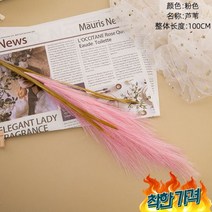 뮬리조화 쇼핑몰 인테리어 거실꾸미기 인조갈대 가게 cm 4p, 샴페인